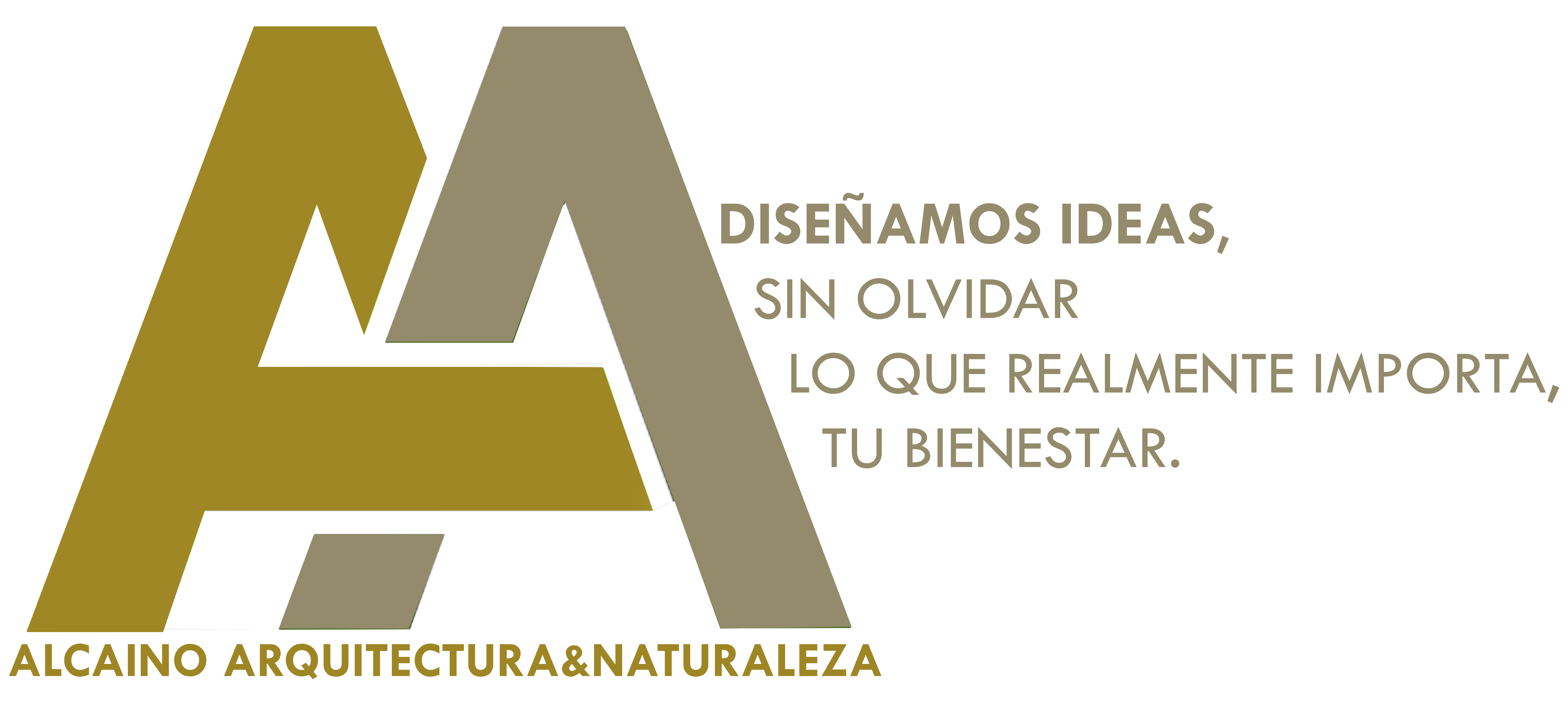 luisalcainoarq.cl